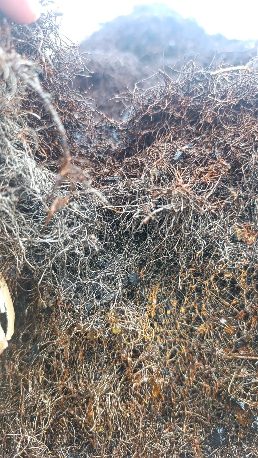 Tire Wire